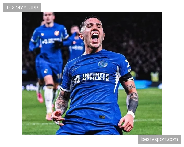 恩佐·费尔南德斯的防守贡献与战术角色是否被高估？